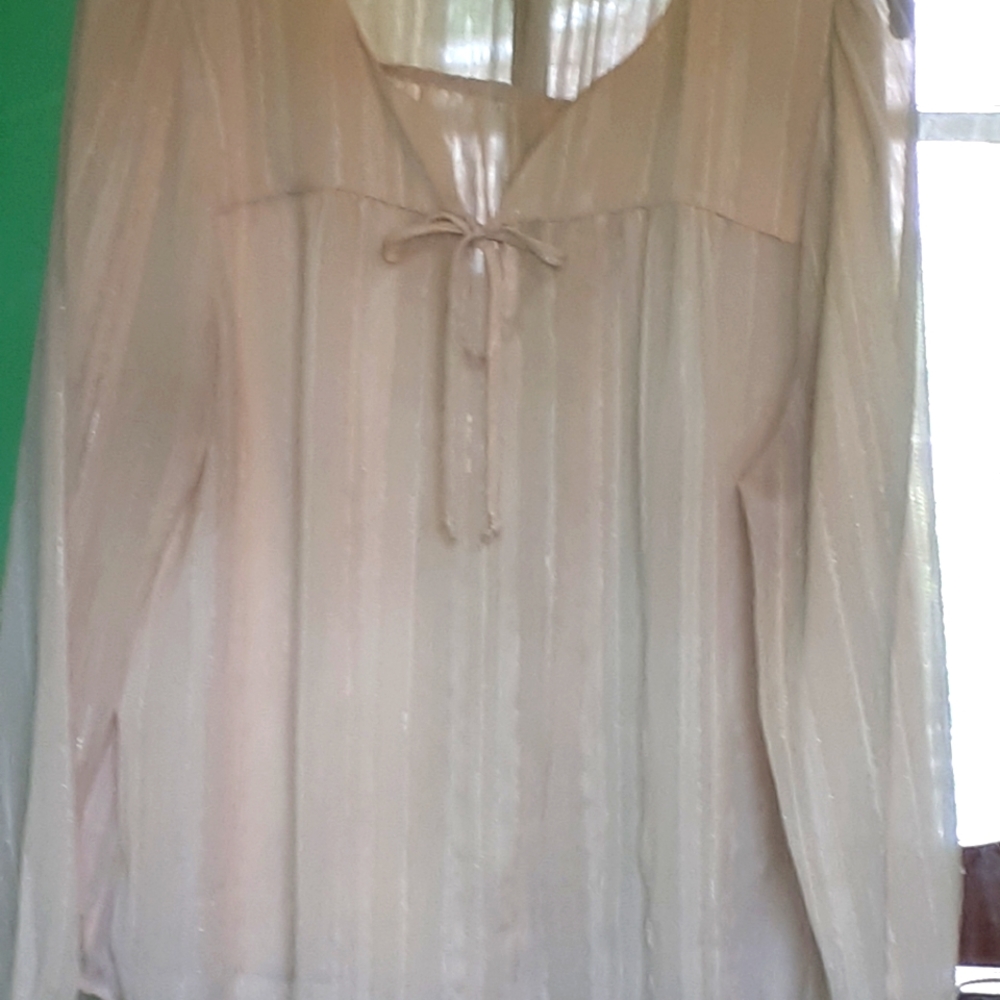 Forever 21 Sheer Sparkle Shirt